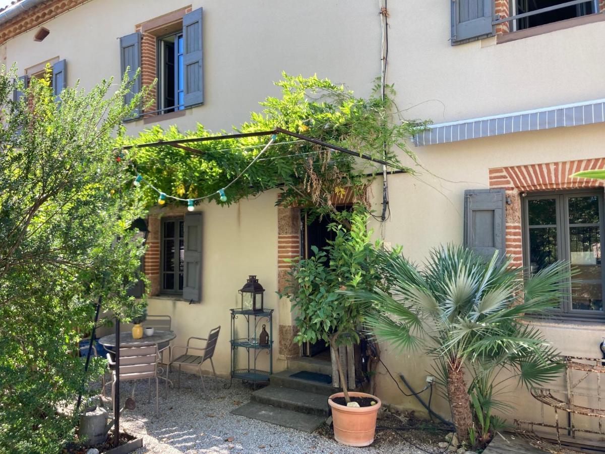 16 Bis-Gite-Hotel-Studio Marssac-sur-Tarn Exteriör bild
